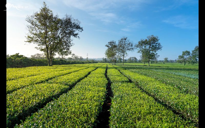 Biển Hồ Pleiku