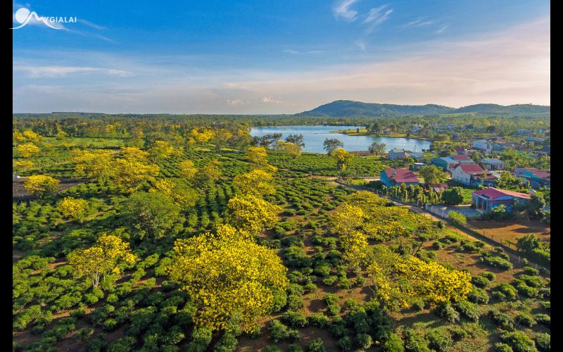 Biển Hồ Pleiku
