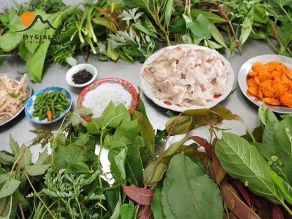 Du Lịch Gia Lai