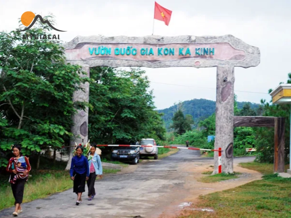 Du Lịch Gia Lai