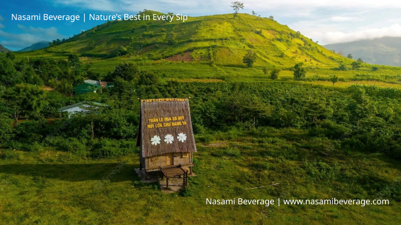 Núi lửa Chư Đăng Ya