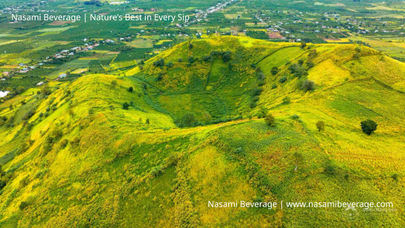 Núi lửa Chư Đăng Ya