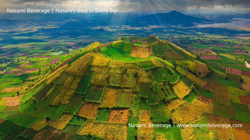 Núi lửa Chư Đăng Ya