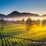100 địa điểm đẹp Gia Lai