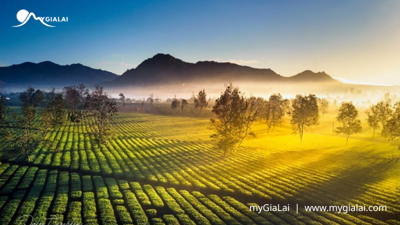 100 địa điểm đẹp Gia Lai