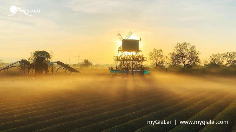 Du lịch Gia Lai có gì đẹp?