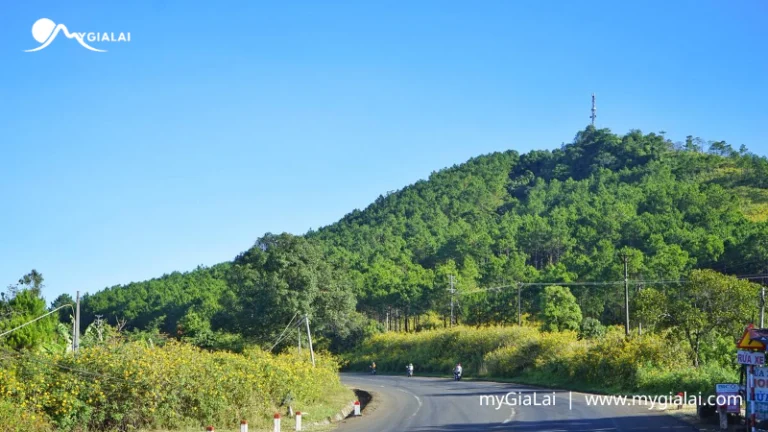Núi Hàm Rồng Gia Lai: Kinh Nghiệm Trekking & Ngắm Toàn Cảnh Pleiku
