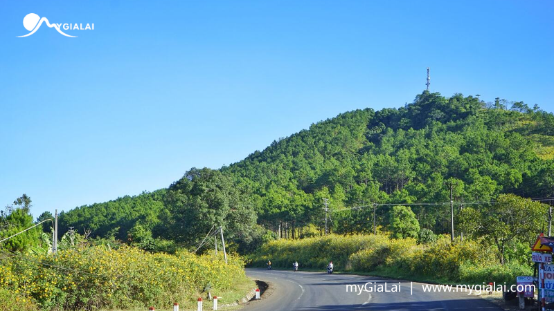 Núi Hàm Rồng Gia Lai: Kinh Nghiệm Trekking & Ngắm Toàn Cảnh Pleiku