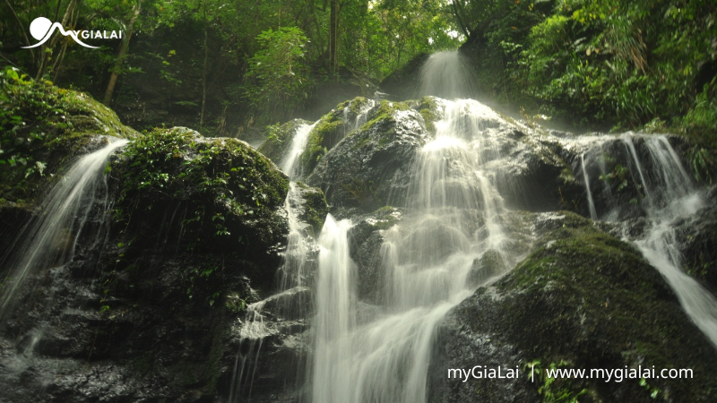 Vườn Quốc Gia Kon Ka Kinh