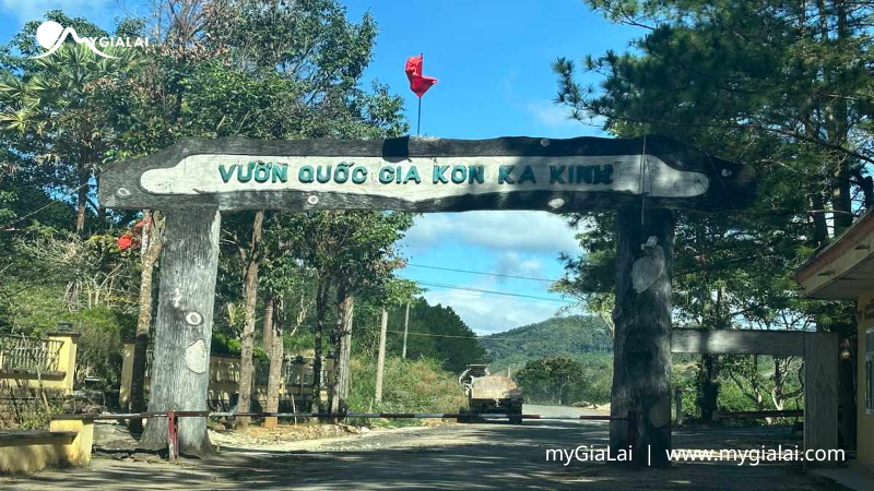 Vườn Quốc Gia Kon Ka Kinh: Cẩm Nang Trekking & Khám Phá Rừng Nguyên Sinh Gia Lai