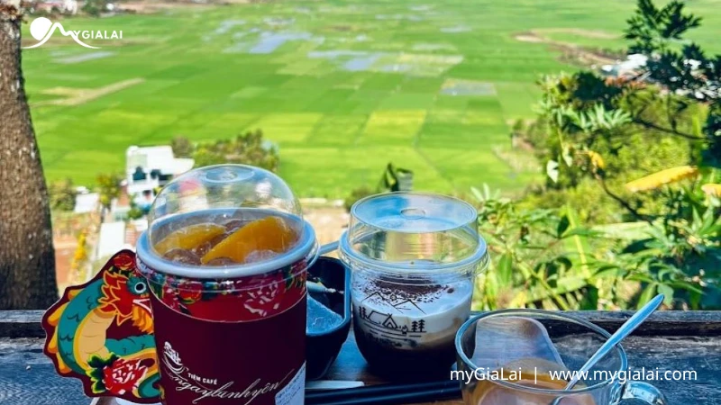 Cà phê Gia Lai: Tinh hoa đại ngàn và hướng dẫn thưởng thức