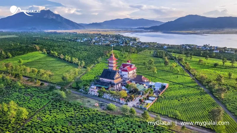 Kinh nghiệm du lịch Gia Lai tự túc từ A-Z mới cập nhật